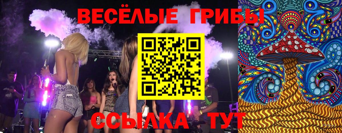 А ПВП Урус-Мартан