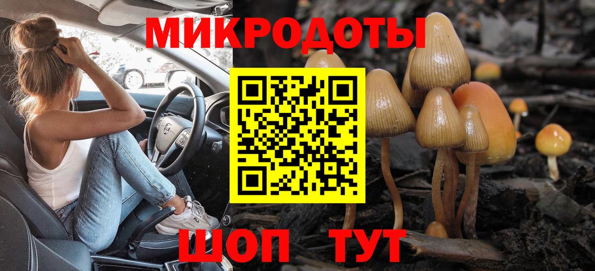 Урус-Мартан  Псилоцибиновые грибы прущие грибы  наркотики  Вход с VPN  Псилоцибиновые грибы MAGIC MUSHROOMS 
